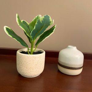 CUTE LITTLE DECO VASE & PLANT